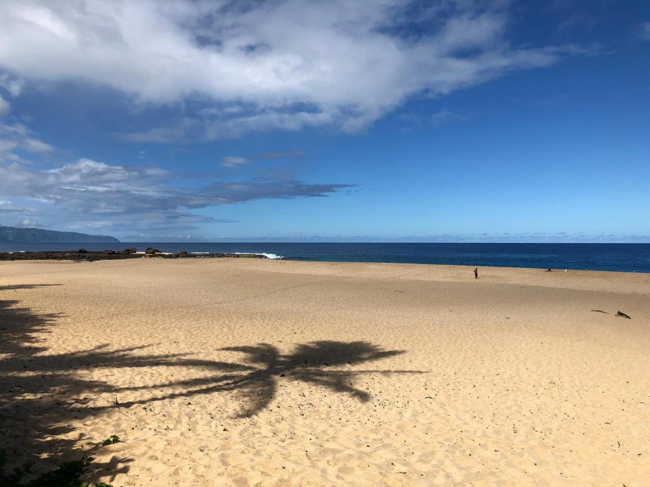 Beach Studio By Shark'S Cove Haleiwa Dış mekan fotoğraf